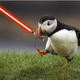 Illustration for article titled First Jedi Aviary